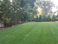 Expanse of lawn that will become a residential basketball court in shades of blue in Lexington, MA.