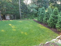 Lawn that was in place before building residential basketball court in shades of blue in Lexington, MA.