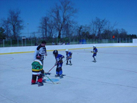 Example of backyard roller hockey court Naturescape could install in eastern Massachusetts