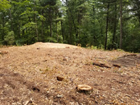 View after trees have been cut to make way for large emerald green and titanium backyard basketball court in Bolton, MA.