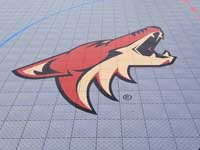 Arizona Coyotes NFL team logo on inline hockey rink.